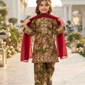 Zayra Premium Olive & Maroon Festive Suit